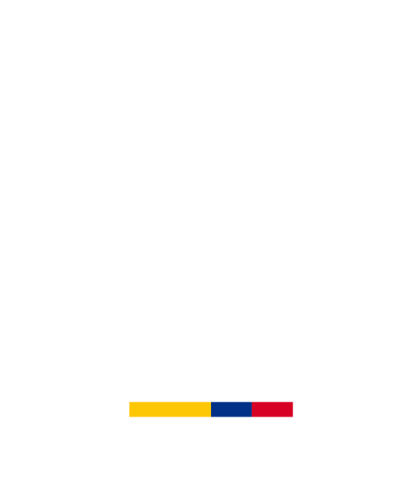 Logo TIC